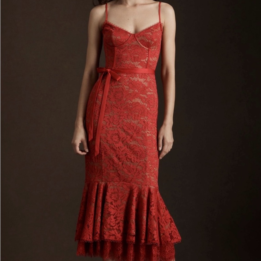 Anthropologie V. Chapman Naomi Stretch Lace Midi Dress